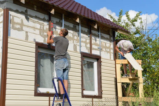 Best Siding Painting and Refinishing  in Berwyn, IL